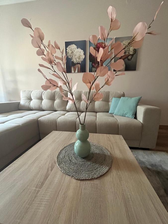Apartman Teodora Subotica Bagian luar foto
