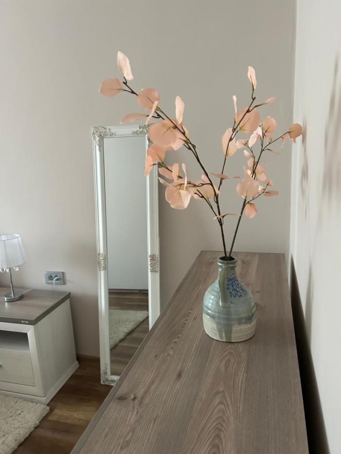Apartman Teodora Subotica Bagian luar foto