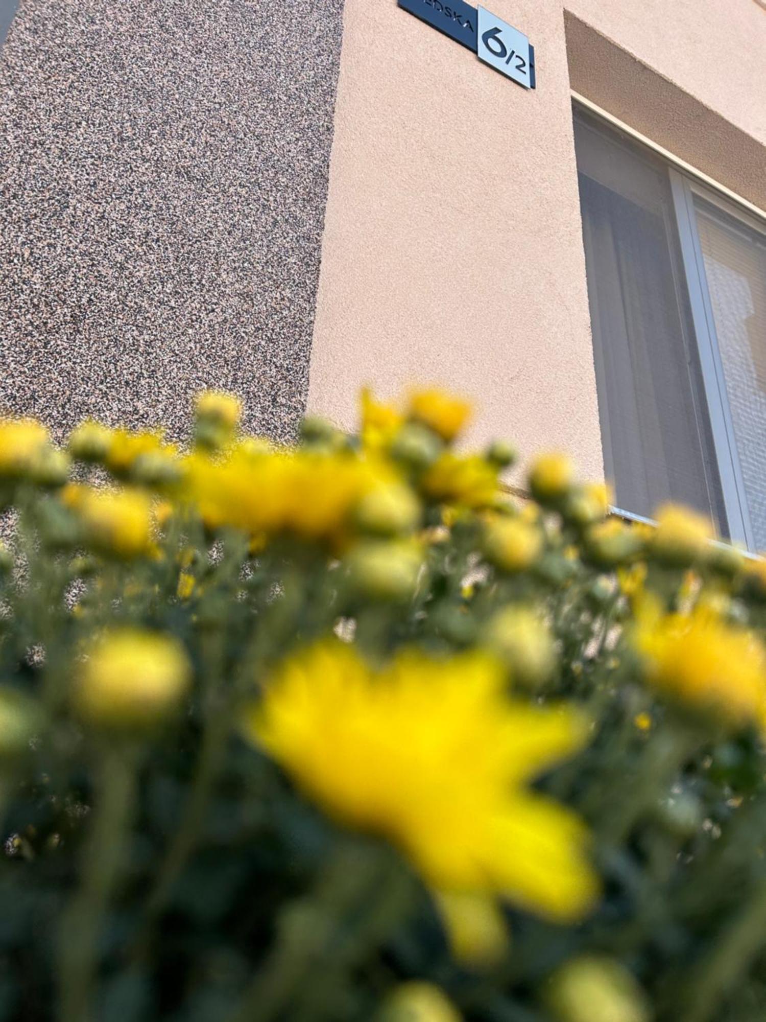 Apartman Teodora Subotica Bagian luar foto